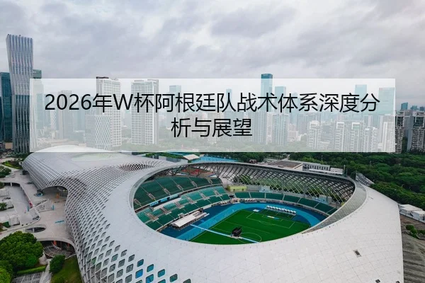 2026年W杯阿根廷队战术体系深度分析与展望