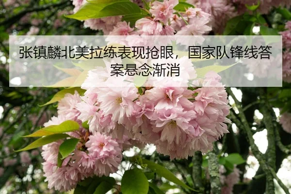 zhang-zhen-lin-bei-mei-la-lian-biao-xian-qiang-yan-guo-jia-dui-feng-xian-da-an-xuan-nian-jian-xiao-3-774.jpg
