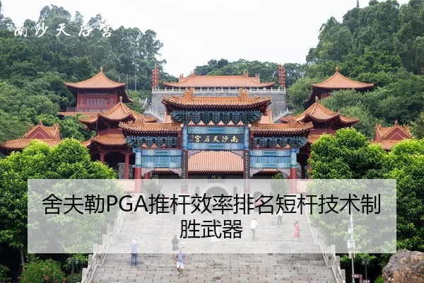 she-fu-lei-tui-gan-xiao-lv-pai-ming-duan-gan-ji-shu-zhi-sheng-wu-qi-2-258.jpg