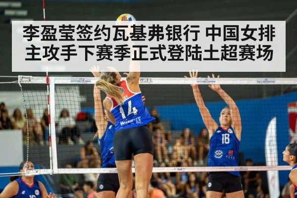 volleyball match action